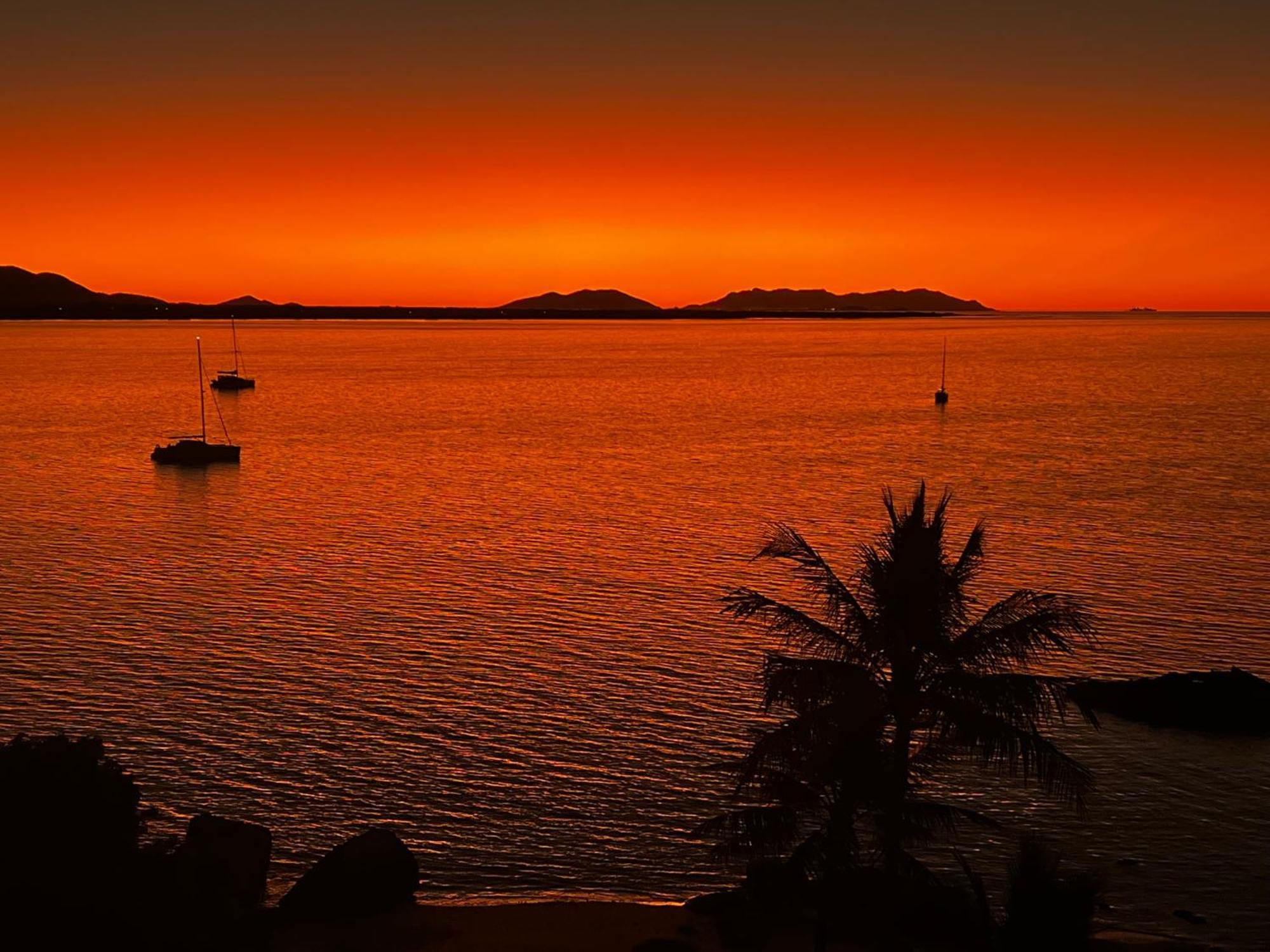 Coral Cove Apartments - Absolute Beachfront Resort Bowen Esterno foto